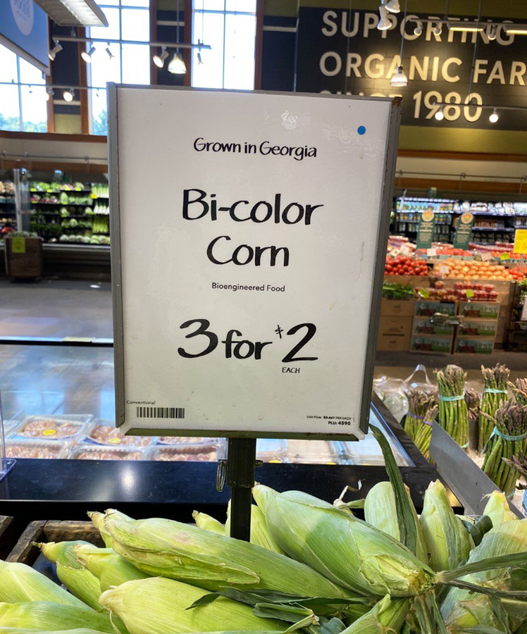 GMO Bi-Color Corn