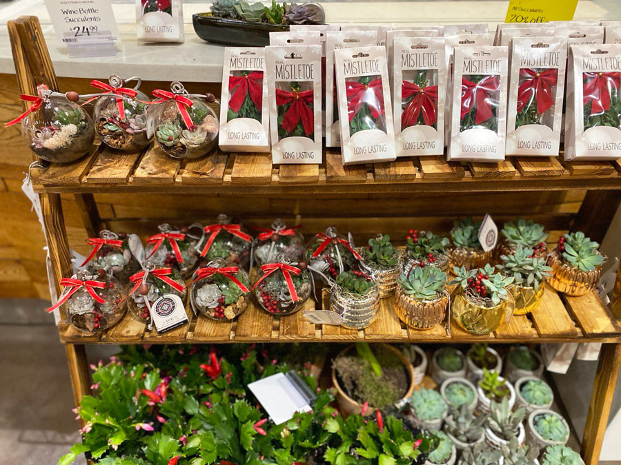 Christmas Decorations & Gifts at Whole Foods Market